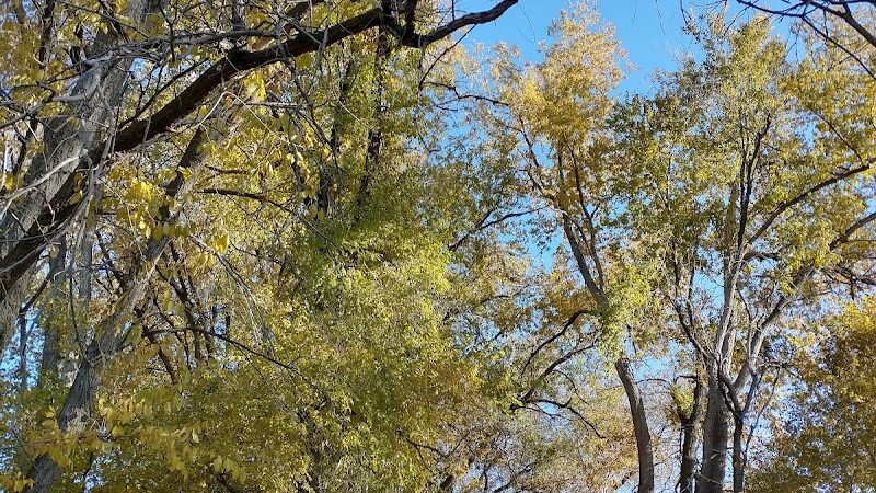 Frank C Jones King Hill Access Area