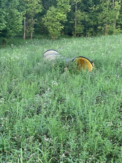 Dog park - Kingsport, TN