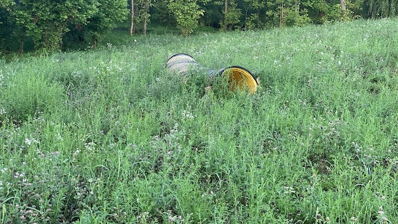 Dog park - Kingsport, TN