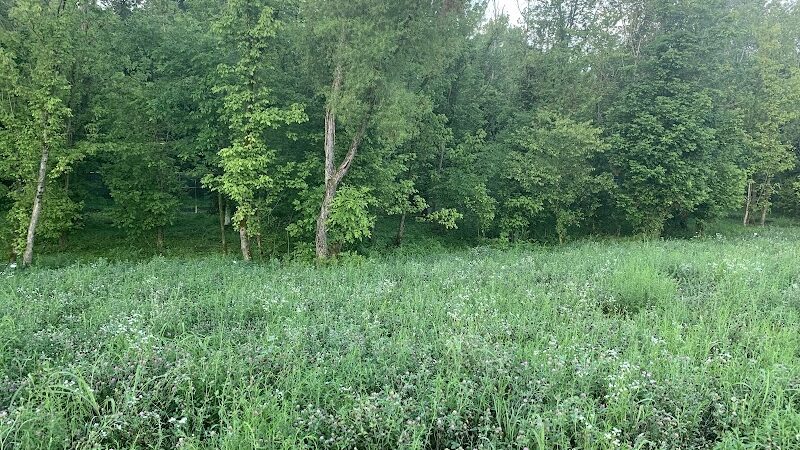 Dog park - Kingsport, TN