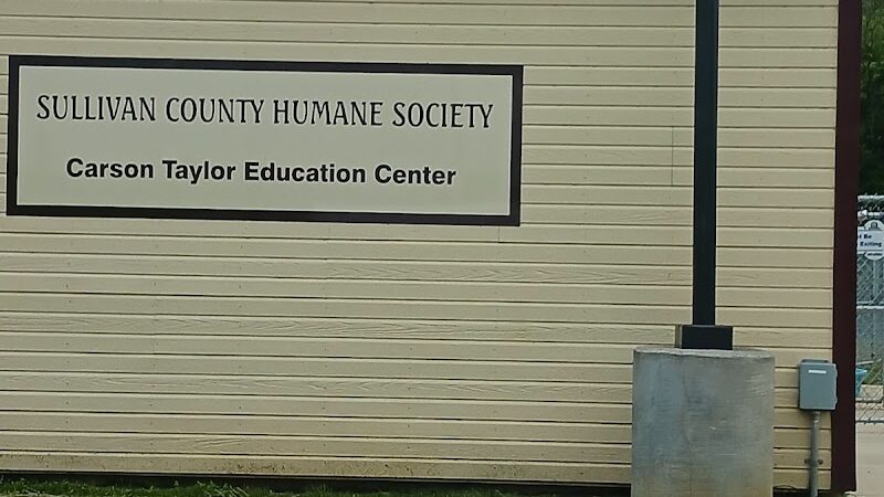 Dog park - Kingsport, TN