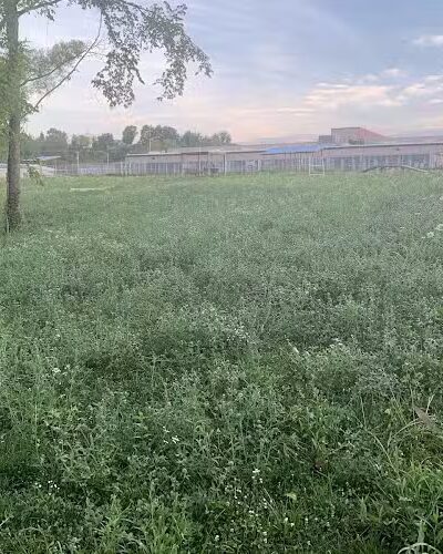 Dog park - Kingsport, TN