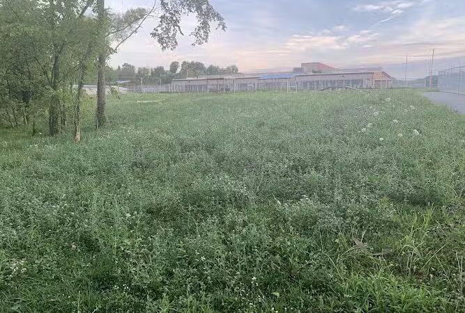 Dog park - Kingsport, TN