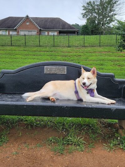 Fort Paws Dog Park - Kingston, TN
