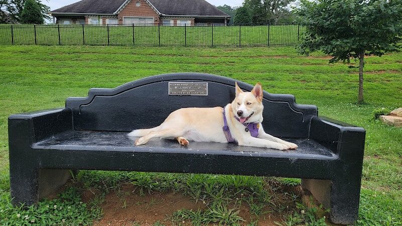 Fort Paws Dog Park - Kingston, TN