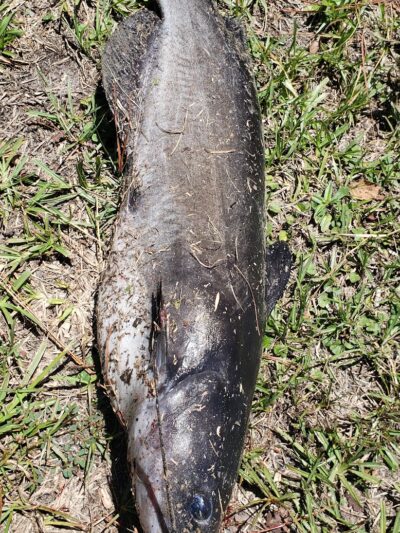 Gilland Memorial Park - Kingstree, SC