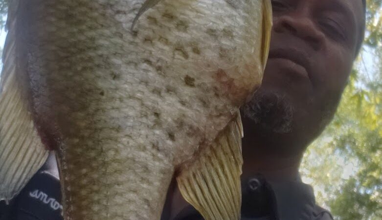 Gilland Memorial Park - Kingstree, SC