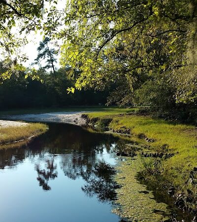 Gilland Memorial Park - Kingstree, SC