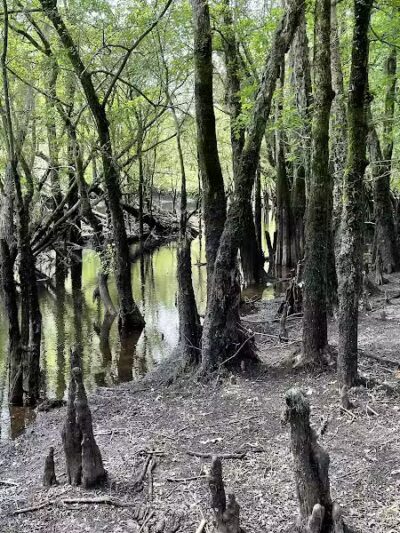 Gilland Memorial Park - Kingstree, SC