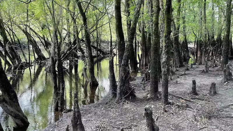 Gilland Memorial Park - Kingstree, SC