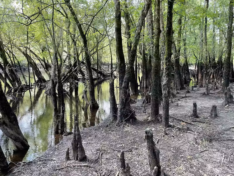 Gilland Memorial Park - Kingstree, SC