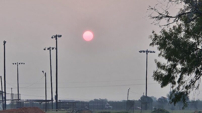 Vishal Raju Bhagat Memorial Dog Park - Kingsville, TX