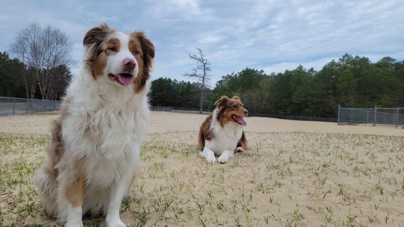 Kitty Hawk Dog Park - Kitty Hawk, NC