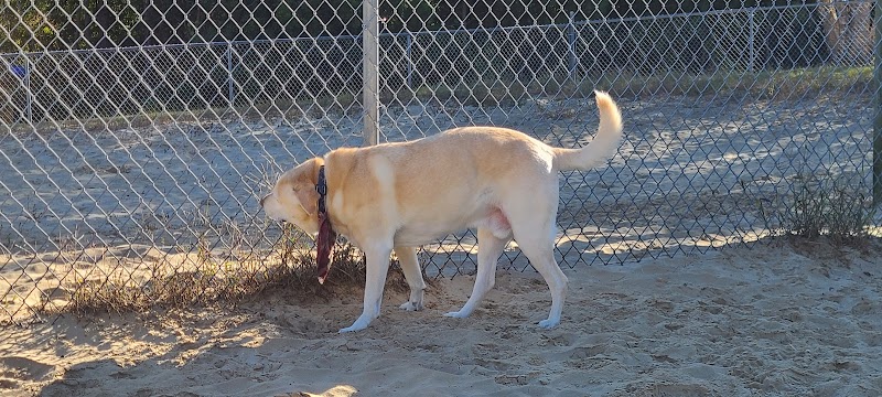 Kitty Hawk Dog Park - Kitty Hawk, NC