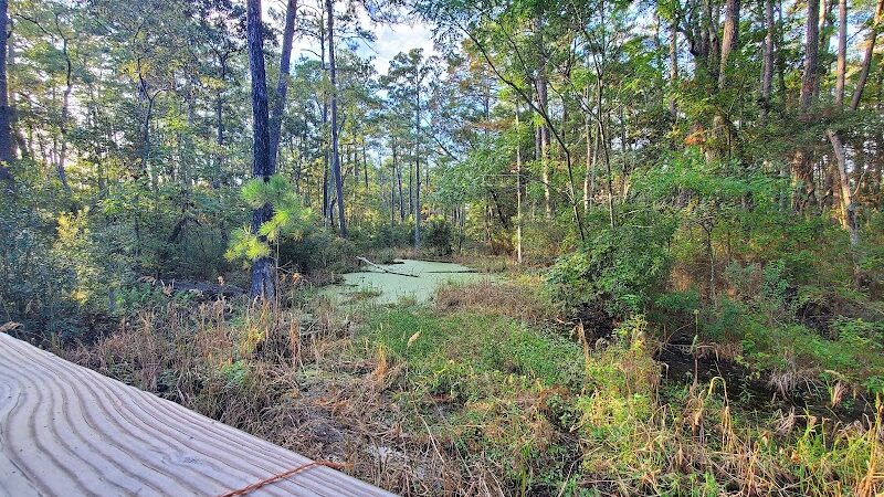 Kitty Hawk Dog Park - Kitty Hawk, NC