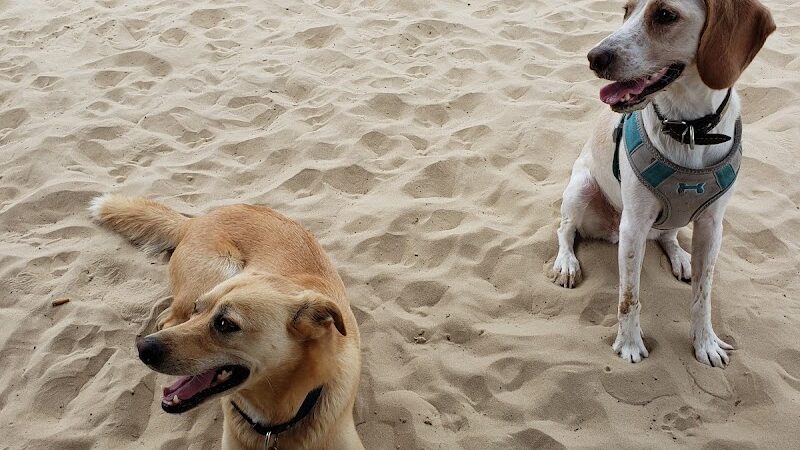 Kitty Hawk Dog Park - Kitty Hawk, NC