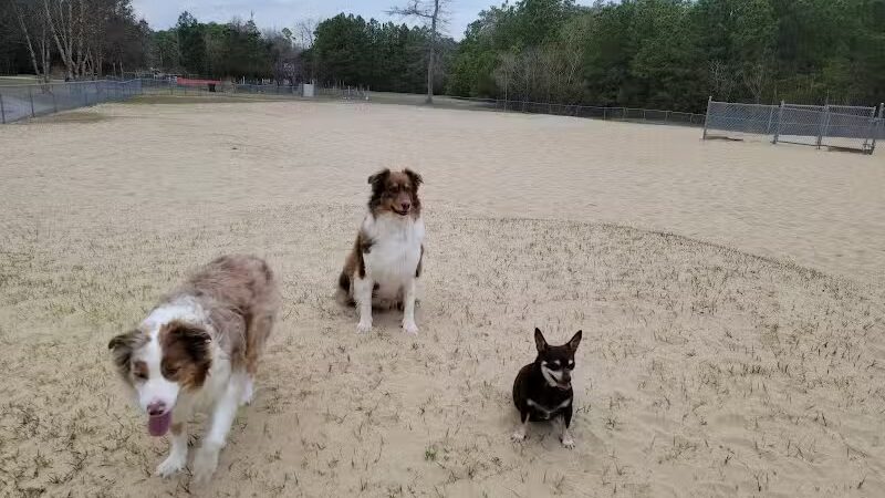 Kitty Hawk Dog Park - Kitty Hawk, NC