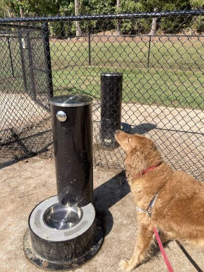 Holston-Chilhowee Dog Park - Knoxville, TN
