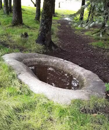 Kodiak Off Leash Dog Park - Kodiak, AK