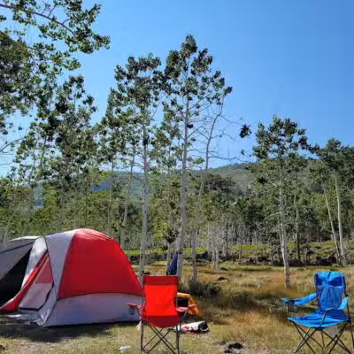 Doctor Creek Campground - Koosharem, UT