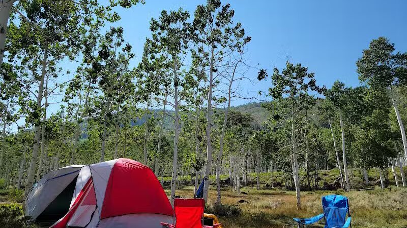 Doctor Creek Campground - Koosharem, UT