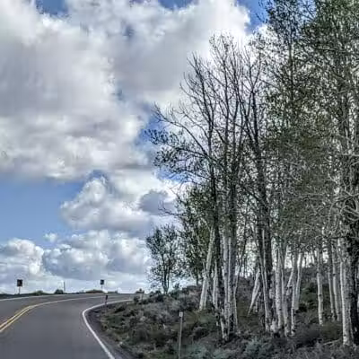 Doctor Creek Campground - Koosharem, UT