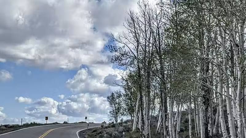 Doctor Creek Campground - Koosharem, UT
