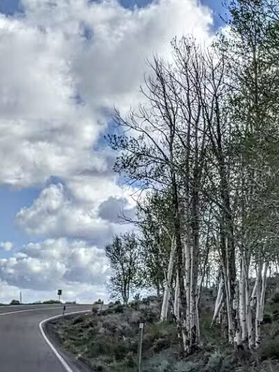 Doctor Creek Campground - Koosharem, UT