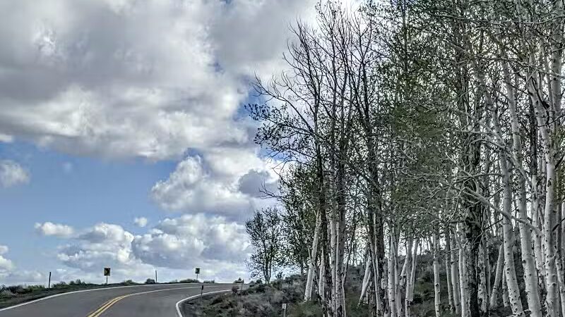 Doctor Creek Campground - Koosharem, UT