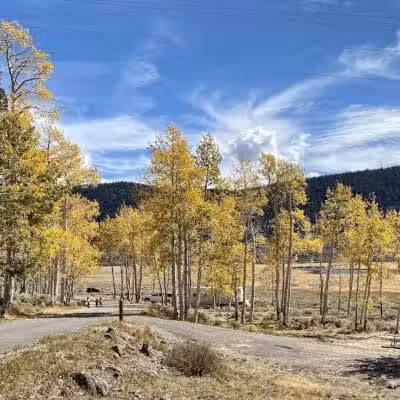 Doctor Creek Campground - Koosharem, UT