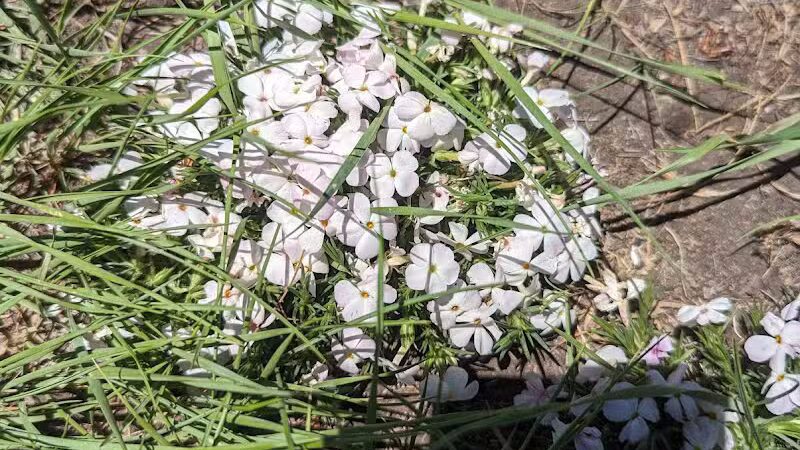 Middle Box Creek Trailhead - Koosharem, UT