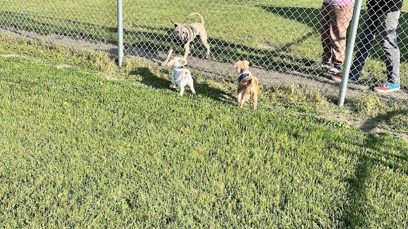 Thomas S. Drazer Memorial Park - Kouts, IN