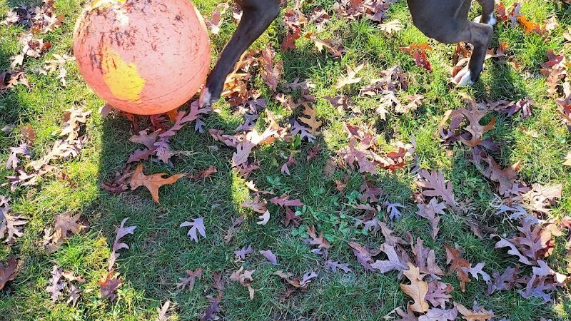 Thomas S. Drazer Memorial Park - Kouts, IN