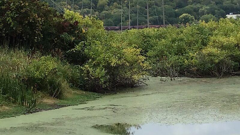 Myrick Park Dog Park - La Crosse, WI