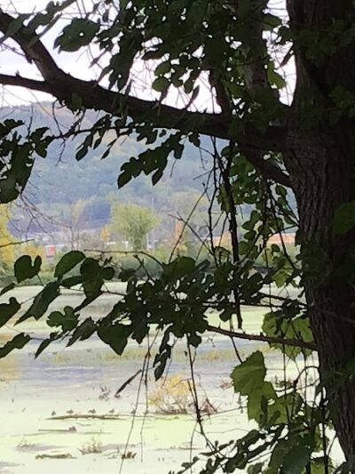 Myrick Park Dog Park - La Crosse, WI