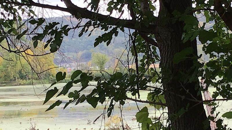 Myrick Park Dog Park - La Crosse, WI