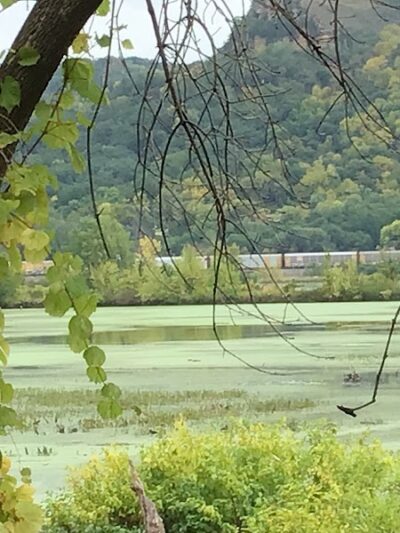 Myrick Park Dog Park - La Crosse, WI