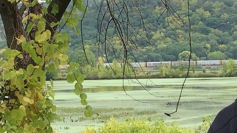 Myrick Park Dog Park - La Crosse, WI