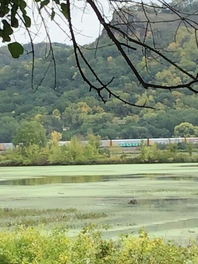 Myrick Park Dog Park - La Crosse, WI