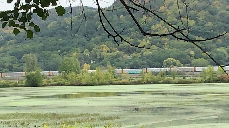 Myrick Park Dog Park - La Crosse, WI