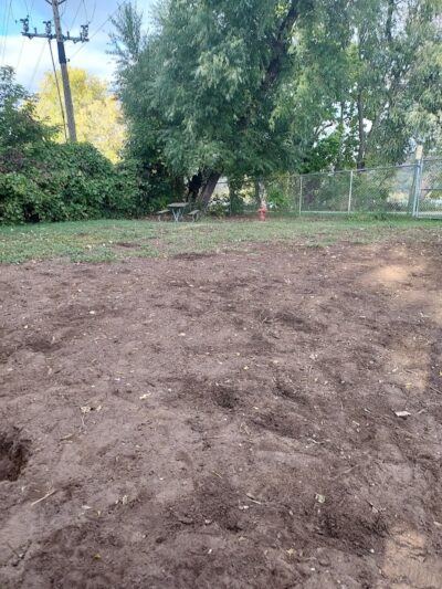 Myrick Park Dog Park - La Crosse, WI