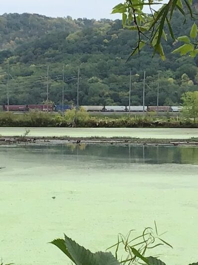 Myrick Park Dog Park - La Crosse, WI