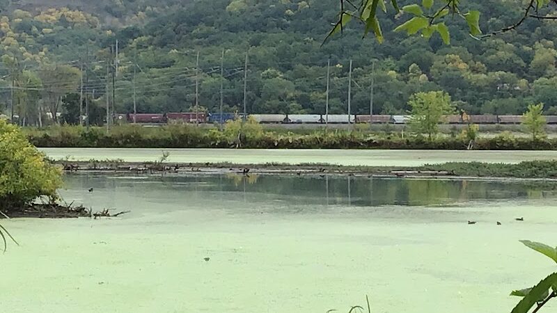 Myrick Park Dog Park - La Crosse, WI