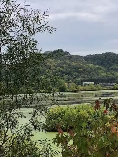 Myrick Park Dog Park - La Crosse, WI