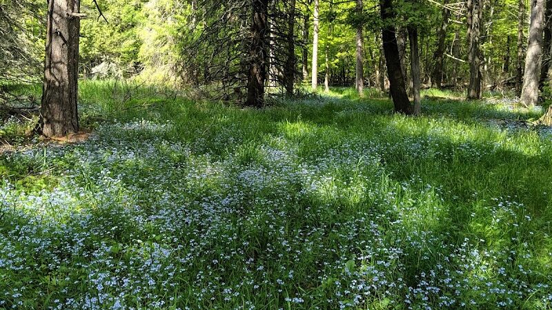 Big Bay Town Park [Town of La Pointe] - La Pointe, WI
