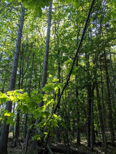 Big Bay Town Park [Town of La Pointe] - La Pointe, WI