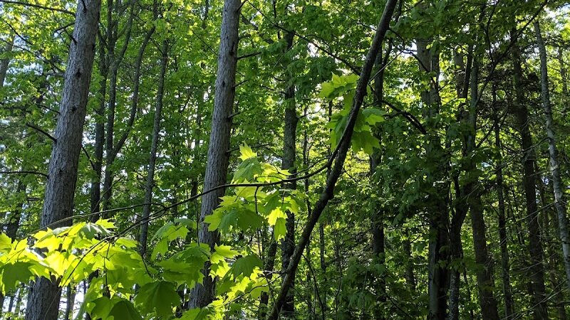 Big Bay Town Park [Town of La Pointe] - La Pointe, WI