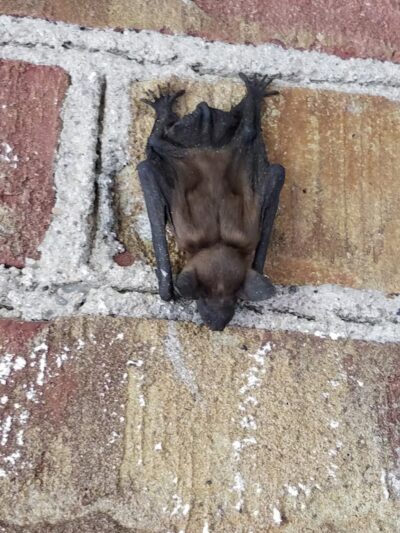 Charles W. Lindewald Park - La Porte, IN