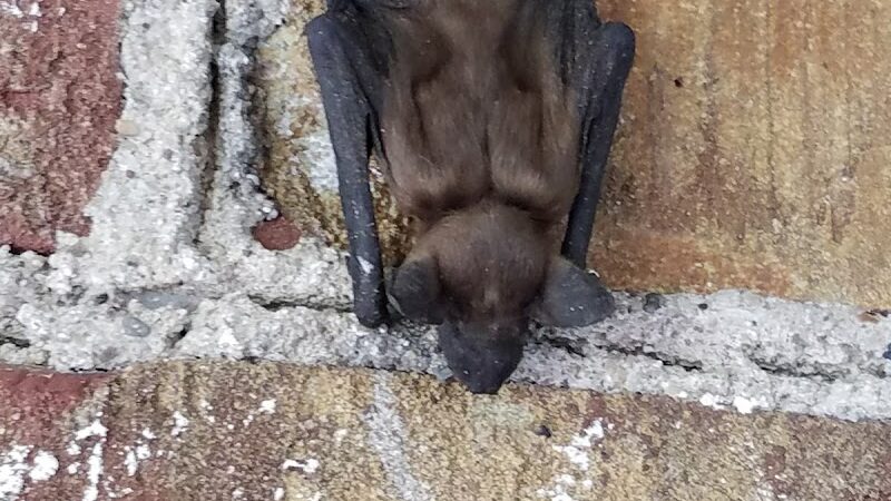 Charles W. Lindewald Park - La Porte, IN