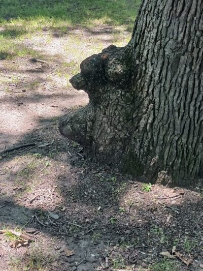 Charles W. Lindewald Park - La Porte, IN